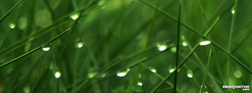 dew drops Facebook Cover