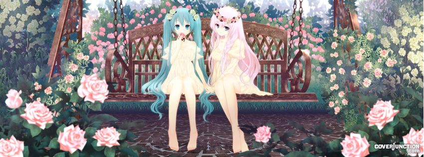 Roses Facebook Cover