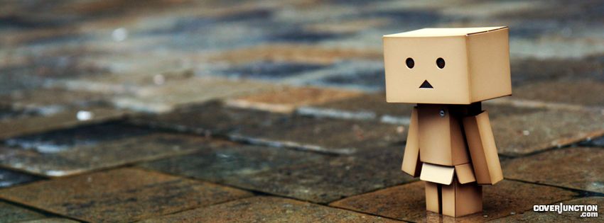 Danbo in the rain Facebook Cover