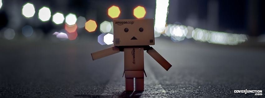 Danbo - Hitch hiking Facebook Cover