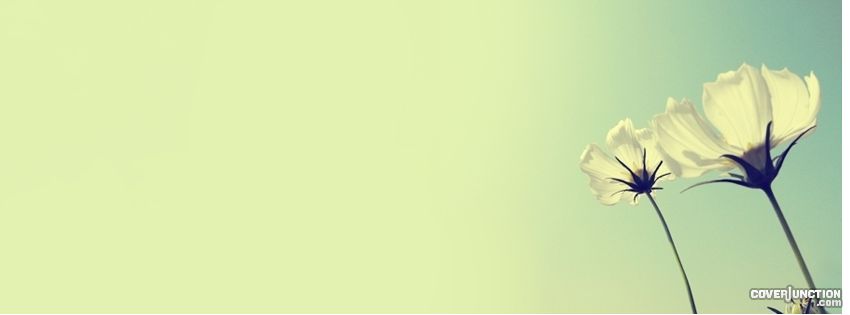 cooll Facebook Cover