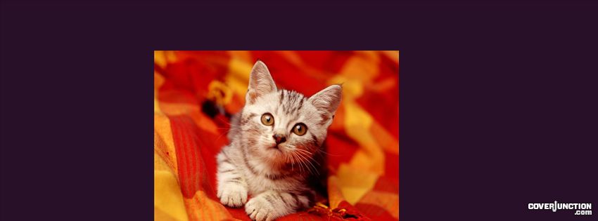 hllugydyy6ryoupoiut Facebook Cover
