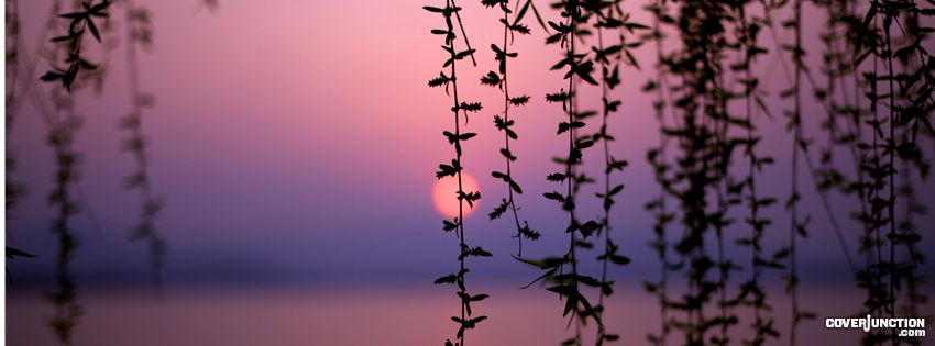 feel Facebook Cover