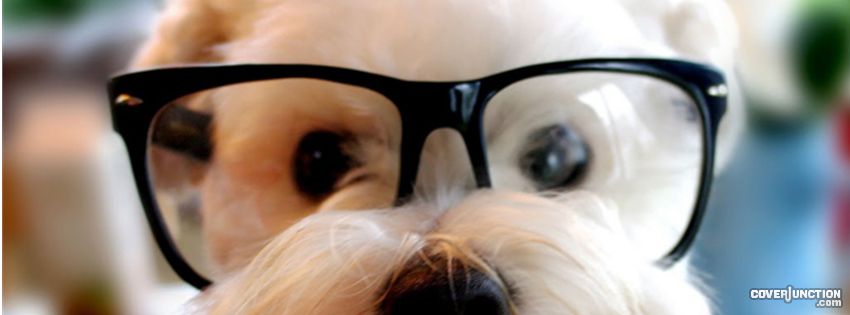 Genius Facebook Cover