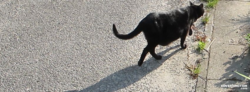 neko Facebook Cover - CoverJunction
