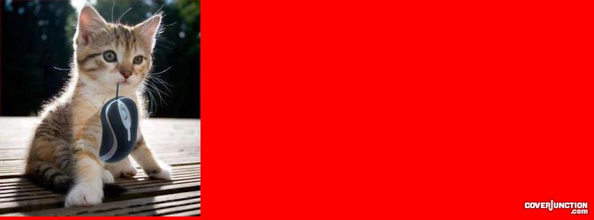 cat Facebook Cover - CoverJunction