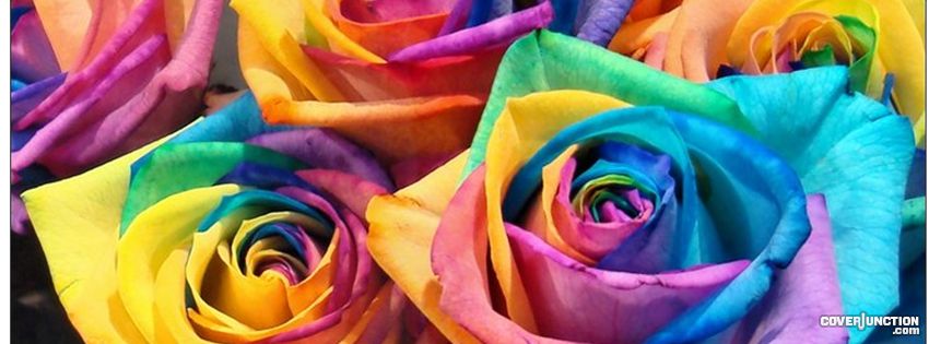 Painted Roses ! Facebook Cover