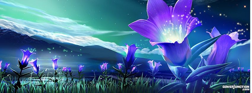 Blossoming Night Facebook Cover