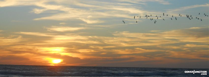 Florida Facebook Cover
