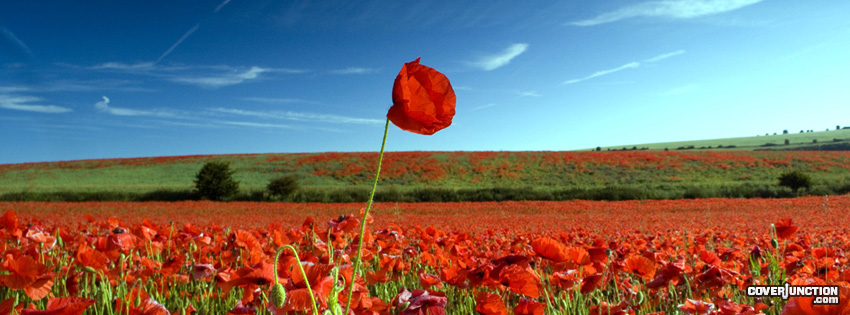 Remembrance Day Facebook Cover