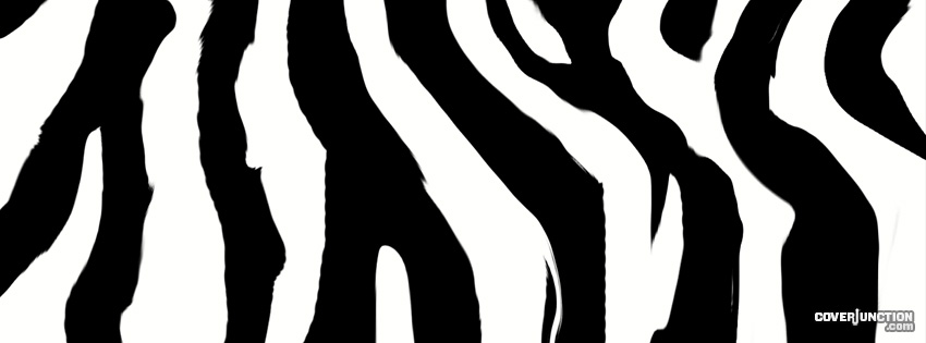 Zebra Facebook Cover - CoverJunction