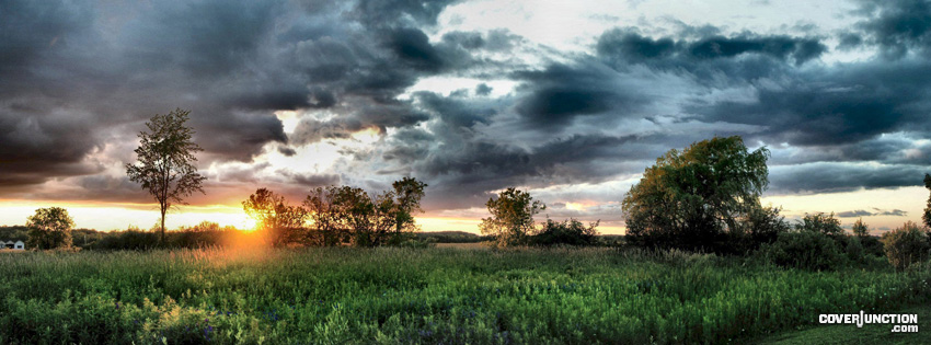 Gloomy Fields Facebook Cover